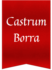 logo Association Castrum Borra