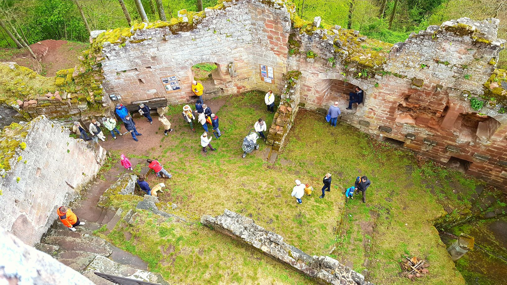 visiteurs château nouveau-windstein