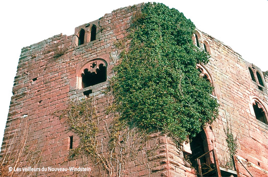 logis seigneurial windstein